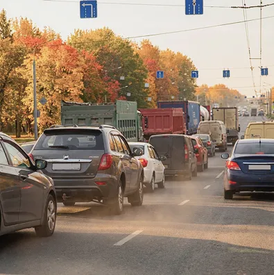 Для климата в Челябинске